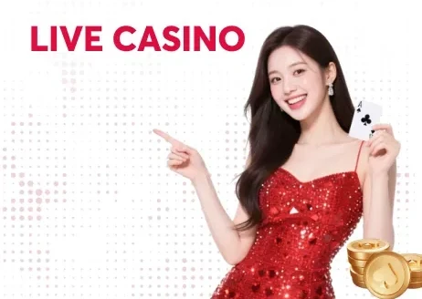Casino NET88