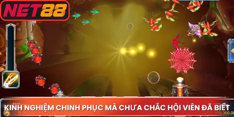 Kinh nghiệm chinh phục hay mà chưa chắc hội viên đã biết