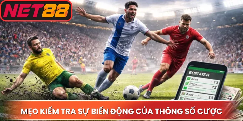 Mẹo kiểm tra sự biến động của thông số cược