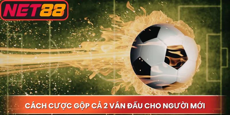 Cách cược gộp cả 2 ván đấu cho người mới